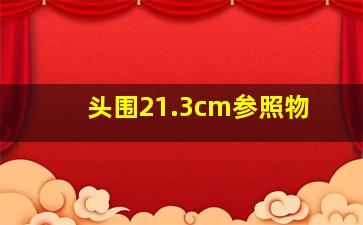 头围21.3cm参照物