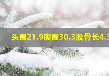 头围21.9腹围30.3股骨长4.3