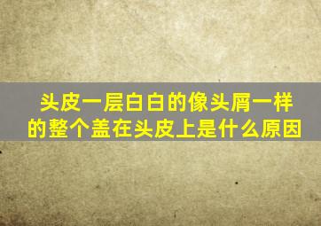 头皮一层白白的像头屑一样的整个盖在头皮上是什么原因