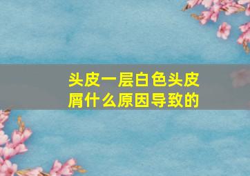 头皮一层白色头皮屑什么原因导致的