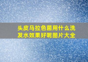 头皮马拉色菌用什么洗发水效果好呢图片大全