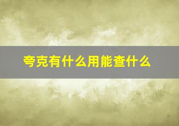 夸克有什么用能查什么