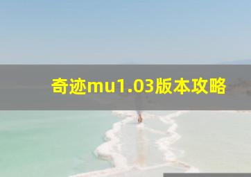 奇迹mu1.03版本攻略