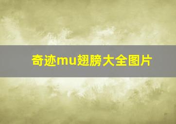 奇迹mu翅膀大全图片