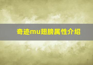 奇迹mu翅膀属性介绍