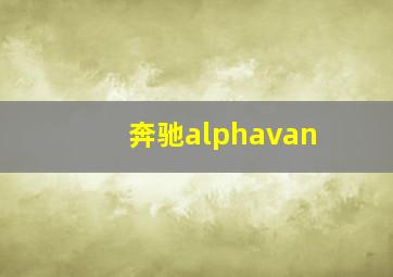 奔驰alphavan