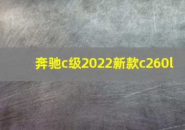 奔驰c级2022新款c260l