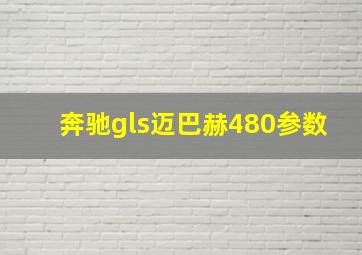 奔驰gls迈巴赫480参数