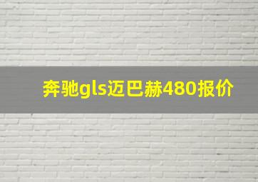 奔驰gls迈巴赫480报价