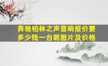 奔驰柏林之声音响报价要多少钱一台呢图片及价格