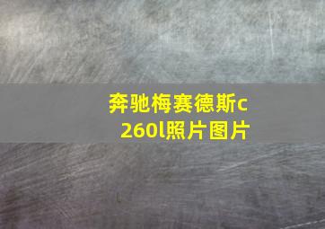 奔驰梅赛德斯c260l照片图片