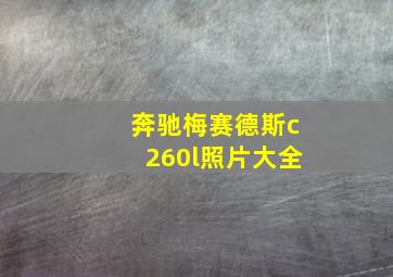 奔驰梅赛德斯c260l照片大全