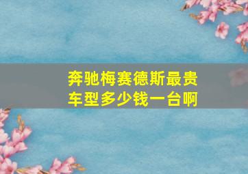 奔驰梅赛德斯最贵车型多少钱一台啊