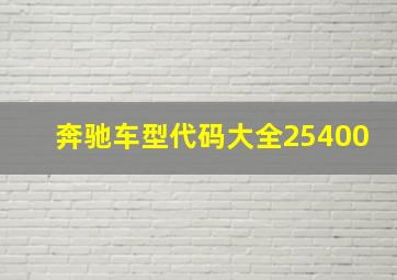 奔驰车型代码大全25400