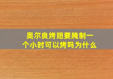 奥尔良烤翅要腌制一个小时可以烤吗为什么