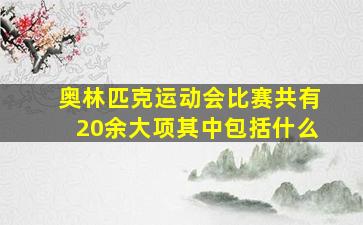 奥林匹克运动会比赛共有20余大项其中包括什么