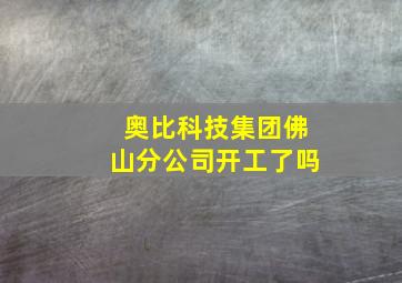 奥比科技集团佛山分公司开工了吗