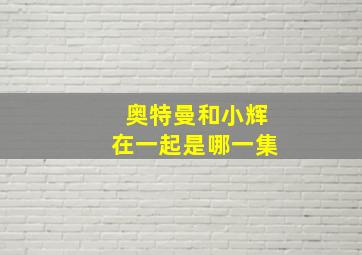 奥特曼和小辉在一起是哪一集