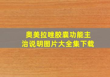 奥美拉唑胶囊功能主治说明图片大全集下载