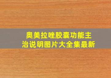 奥美拉唑胶囊功能主治说明图片大全集最新