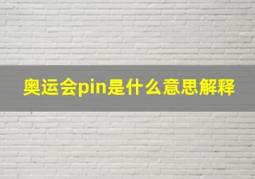 奥运会pin是什么意思解释