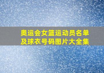 奥运会女篮运动员名单及球衣号码图片大全集