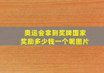 奥运会拿到奖牌国家奖励多少钱一个呢图片