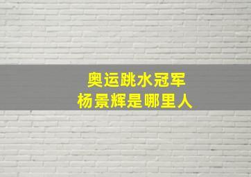 奥运跳水冠军杨景辉是哪里人