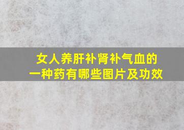 女人养肝补肾补气血的一种药有哪些图片及功效