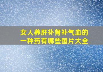 女人养肝补肾补气血的一种药有哪些图片大全