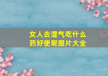 女人去湿气吃什么药好使呢图片大全