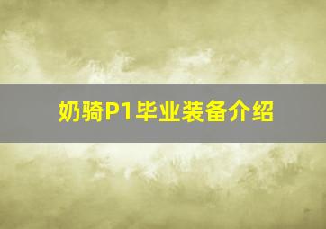 奶骑P1毕业装备介绍