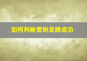 如何判断面粉发酵成功