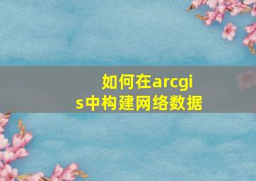 如何在arcgis中构建网络数据