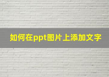 如何在ppt图片上添加文字