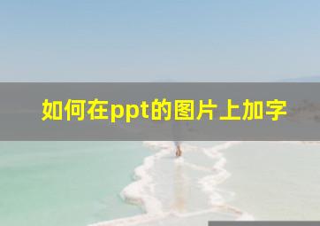 如何在ppt的图片上加字