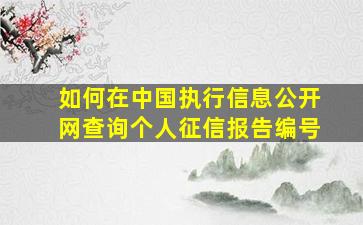 如何在中国执行信息公开网查询个人征信报告编号