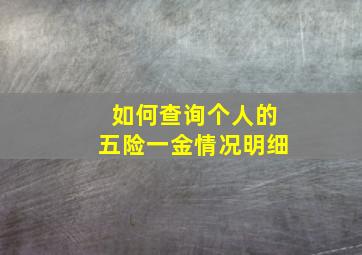 如何查询个人的五险一金情况明细