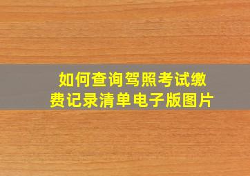 如何查询驾照考试缴费记录清单电子版图片