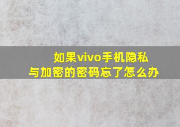 如果vivo手机隐私与加密的密码忘了怎么办