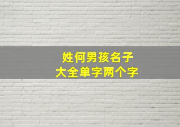 姓何男孩名子大全单字两个字