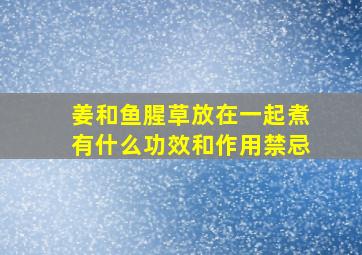 姜和鱼腥草放在一起煮有什么功效和作用禁忌