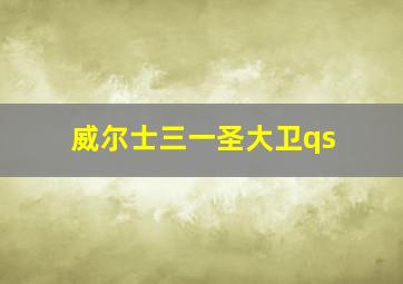 威尔士三一圣大卫qs