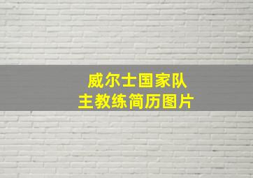 威尔士国家队主教练简历图片