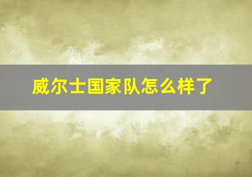 威尔士国家队怎么样了