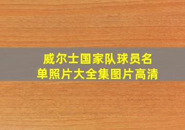 威尔士国家队球员名单照片大全集图片高清