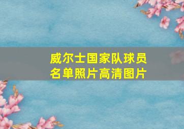 威尔士国家队球员名单照片高清图片