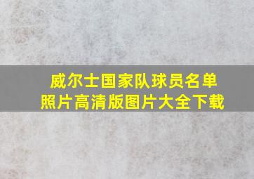 威尔士国家队球员名单照片高清版图片大全下载