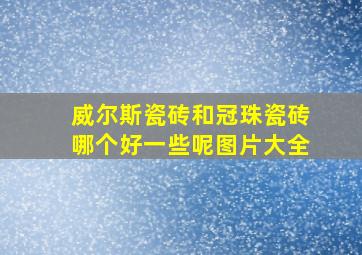 威尔斯瓷砖和冠珠瓷砖哪个好一些呢图片大全