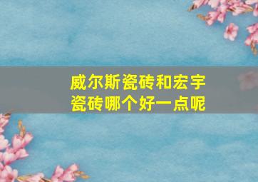 威尔斯瓷砖和宏宇瓷砖哪个好一点呢